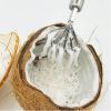 Home Accessories Coconut Shaver Kitchen Fish Clean Scales Tools