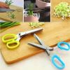 Multi-functional Stainless Steel Kitchen 5 Layers Shredded Scallion Cut Herb Spices Scissors