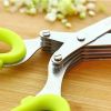 Multi-functional Stainless Steel Kitchen 5 Layers Shredded Scallion Cut Herb Spices Scissors