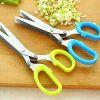 Multi-functional Stainless Steel Kitchen 5 Layers Shredded Scallion Cut Herb Spices Scissors